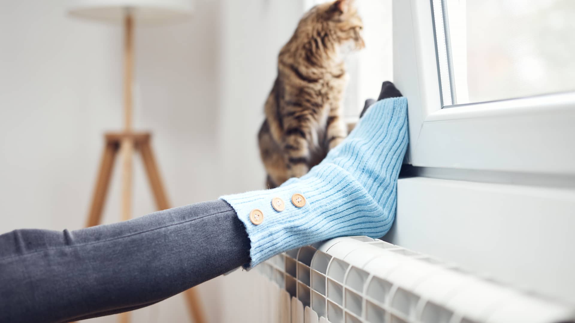 mujer con su gato apoyando los pies sobre un radiador porque tiene contratada una tarifa de luz y gas con endesa