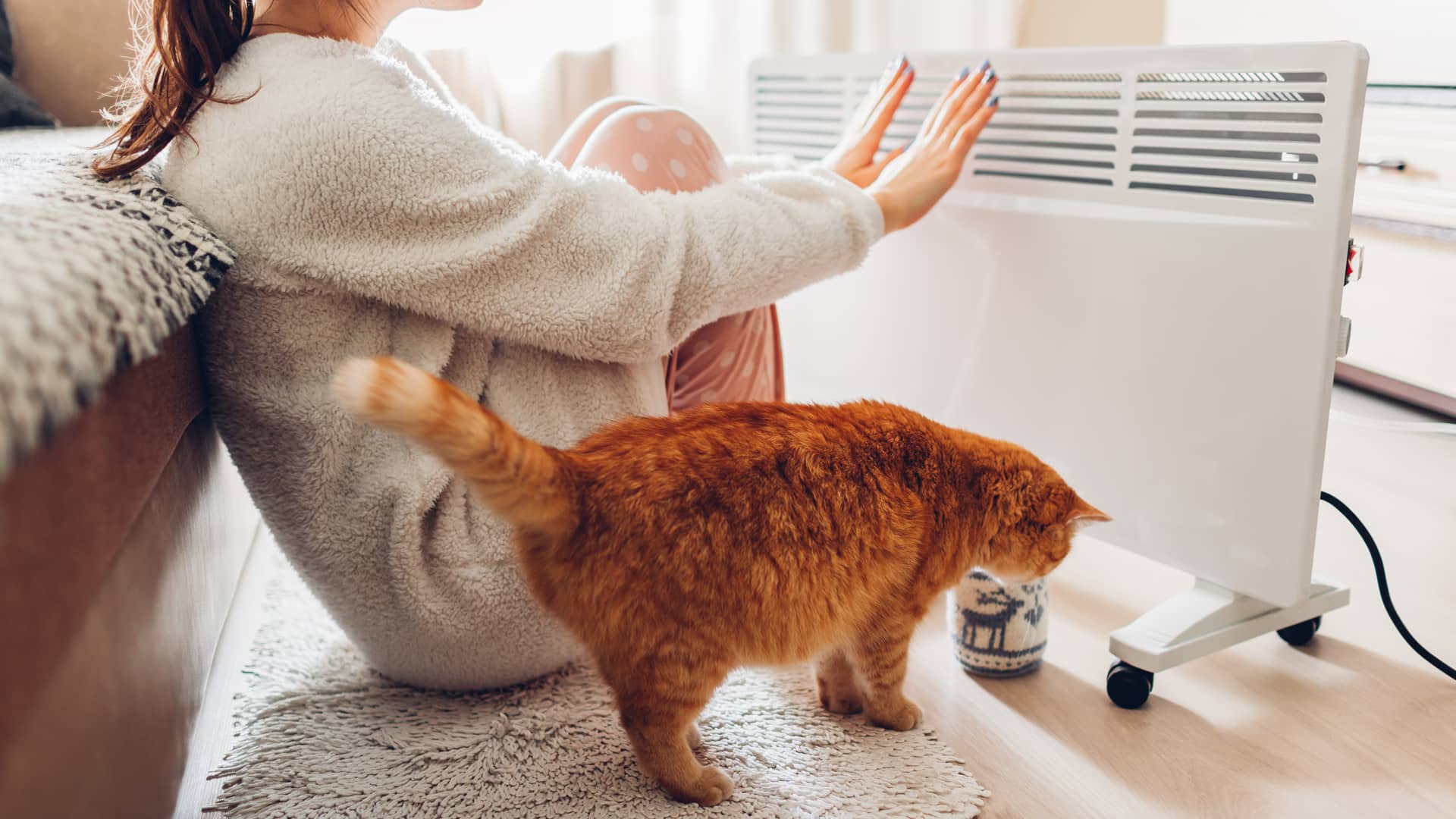 Mujer y su gato se calientan frente a un radiador eléctrico gracias a Naturgy PVPC o de Precio Voluntario para el Pequeño Consumidor.