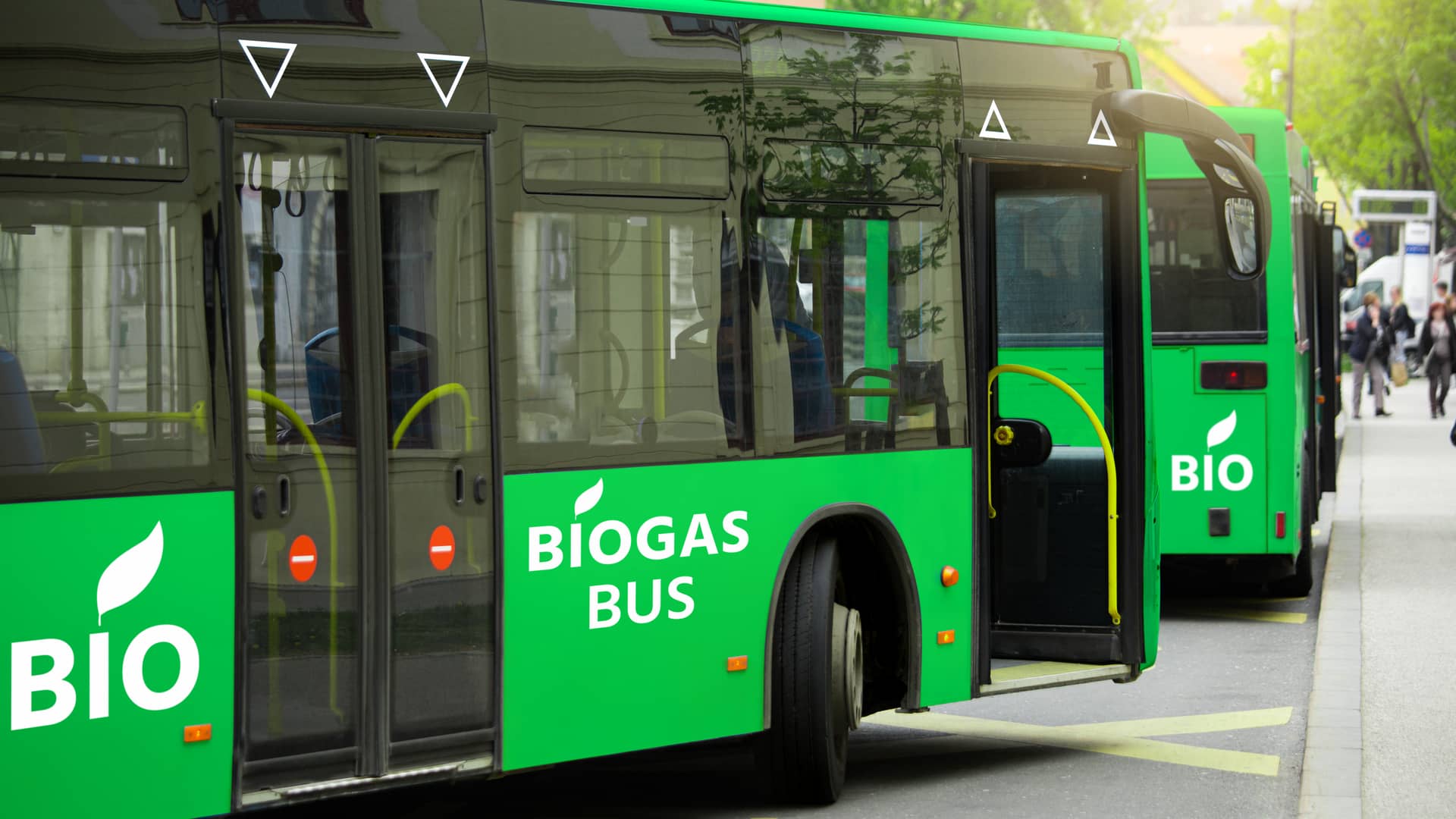 Autobuses verdes que utilizan combustible realizado a partir de biogás, su uso como carburante es una de sus ventajas