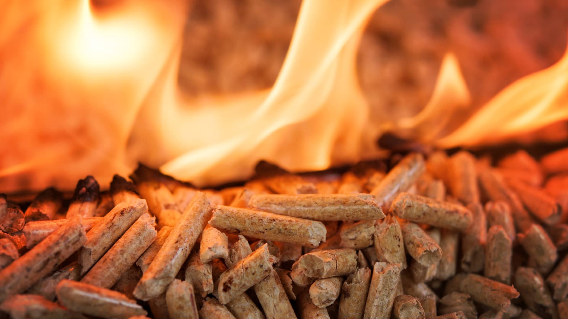 Detalle de biomasa de estufa quemandose