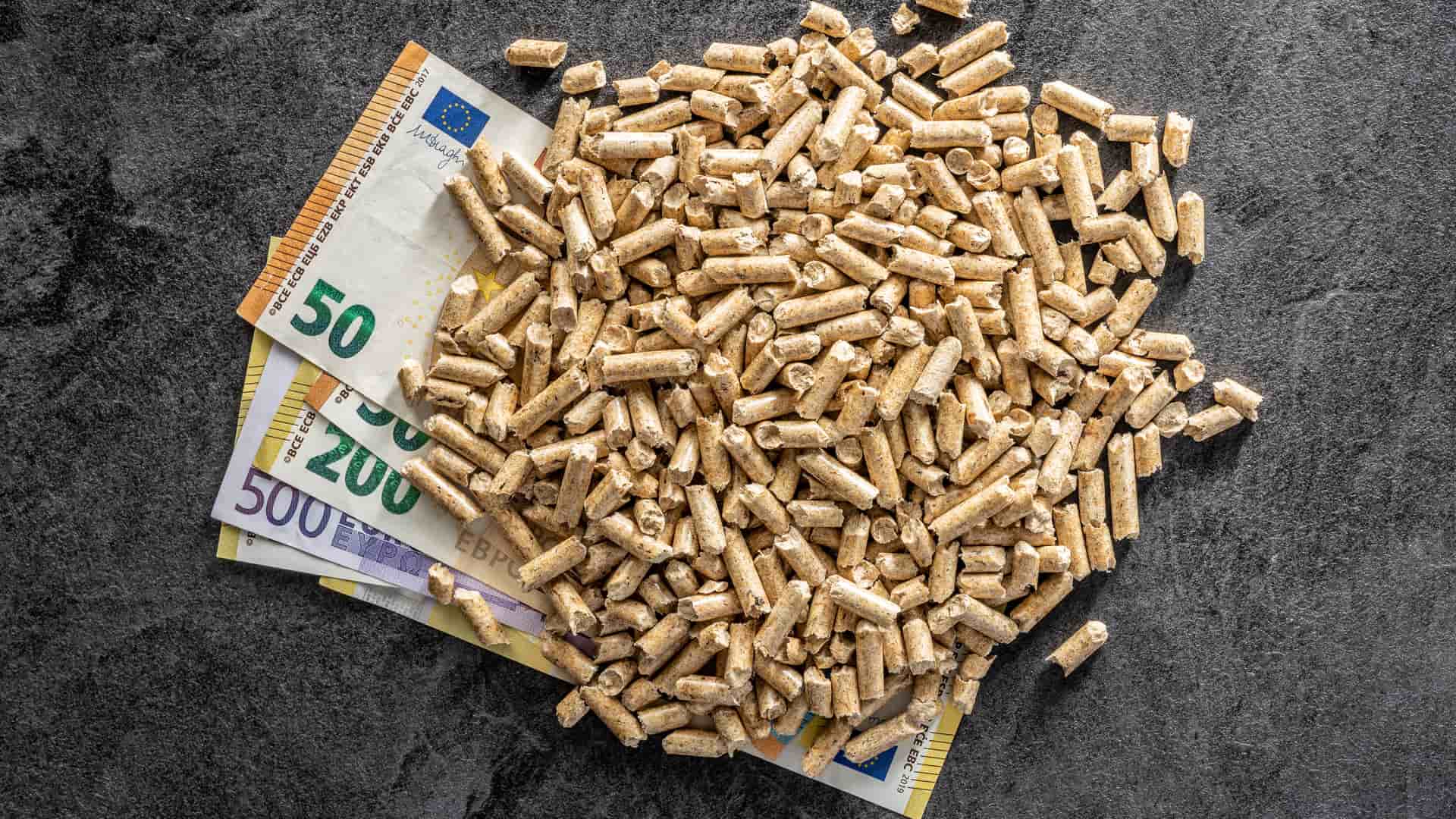 Pellets sobre billetes de Euro para ilustrar el precio de la biomasa