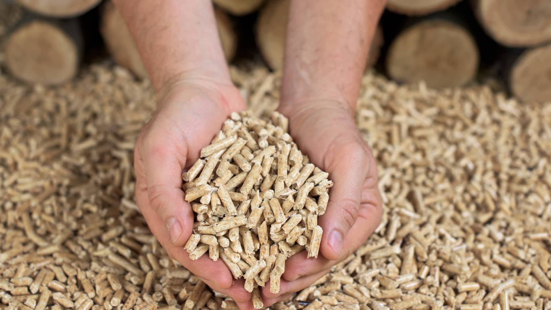 Biogás y Biomasa: precio, pros, contras y poder calorífico