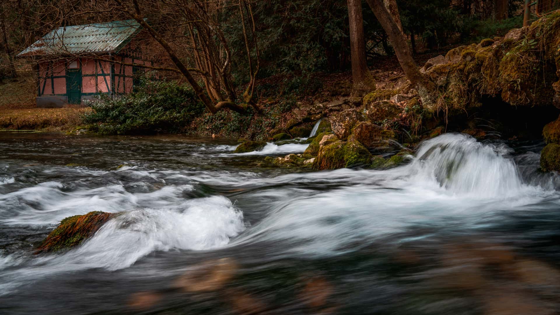 Pequeña cabaña en el bosque junto a un río con rápidas corrientes, susceptible aprovecharse de una instalación de energía hidráulica doméstica